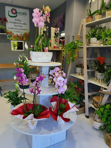 Negocio Floristería Generalife