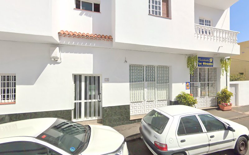 Negocio Floristería Girasoles