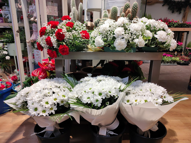 Negocio Floristería Goilore
