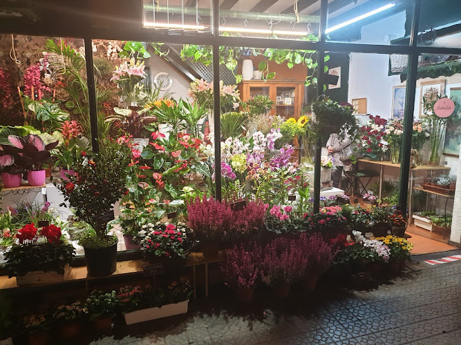 Negocio Floristeria Gordóniz