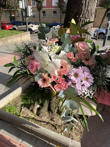 Negocio Floristeria Hiedra