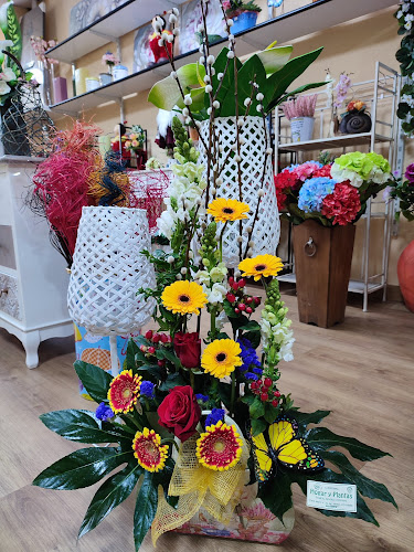 Negocio Floristería Hogar Y Plantas