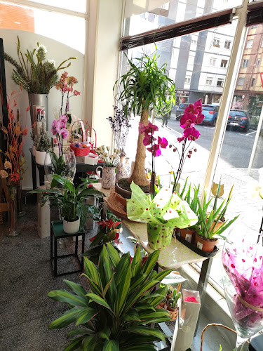 Negocio Floristeria Iglesias