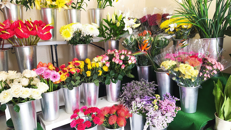 Negocio Floristeria Ilcaflor