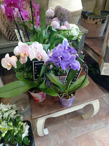 Negocio Floristería Irene Altuna Loradenda