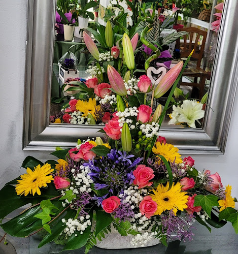 Negocio Floristeria Isleta