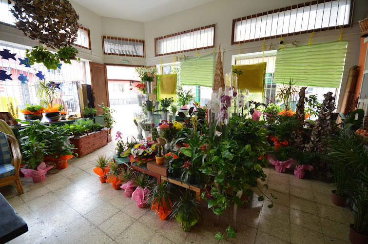 Negocio Floristería Junco