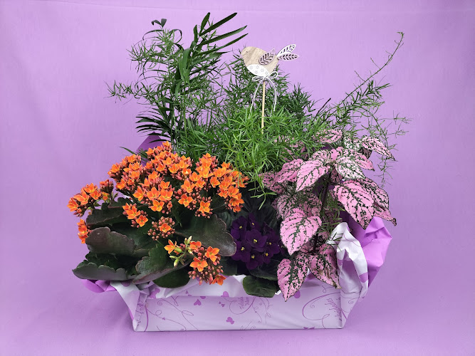 Negocio Floristería Kiri