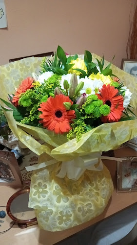 Floristería La Alameda Sl.