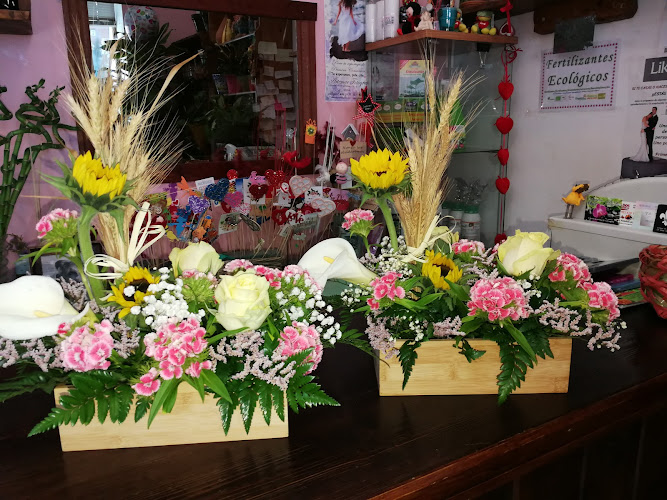 Negocio Floristería La Laguna