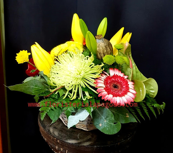 Negocio Floristería La Pagoda