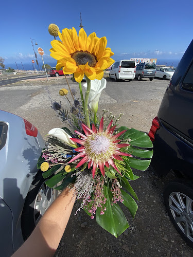 Negocio Floristería La Rosa De Sarón