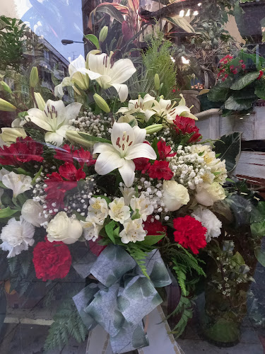 Floristería La Vida Es Bella. Gijón.