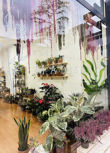 Negocio Floristería Las Flores De Madison