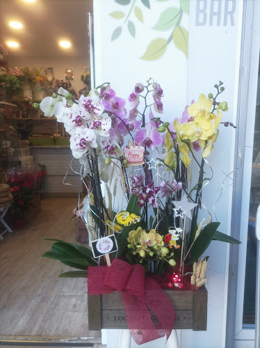 Negocio Floristería Laura