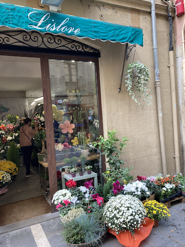 Negocio Floristería Lislore
