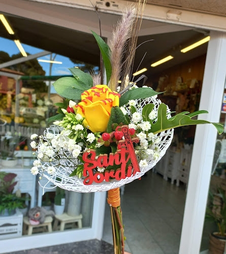 Negocio Floristería Marce