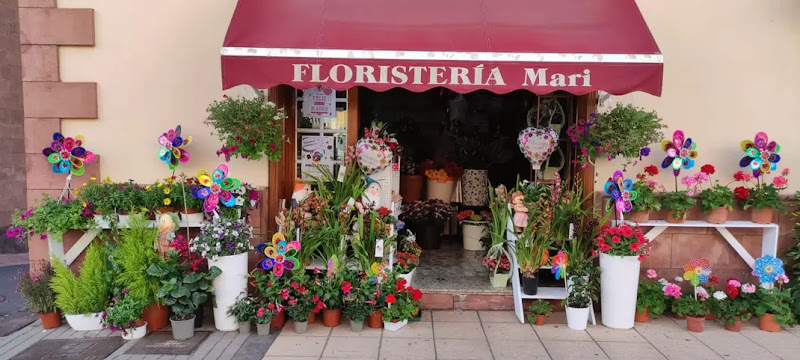 Negocio Floristería Mari