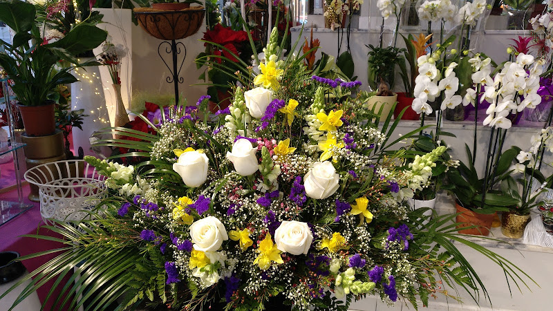 Negocio Floristería Mari Carmen