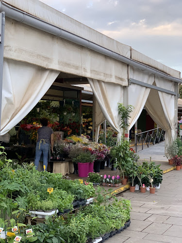 Negocio Floristería María