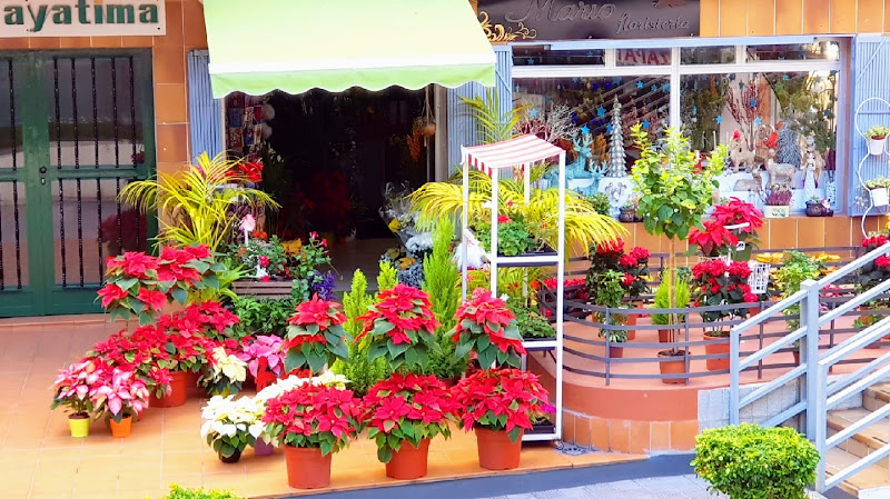 Negocio Floristería Mario La Orotava - Flores, Plantas, Arreglo, Florares, Decoración
