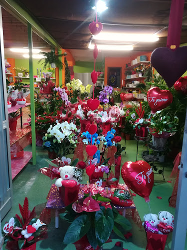 Negocio Floristería Maryflor