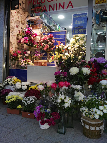 Negocio Floristería Mascotas Jungla