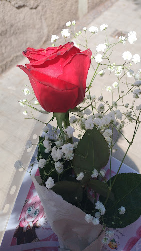 Negocio Floristeria Mercedes