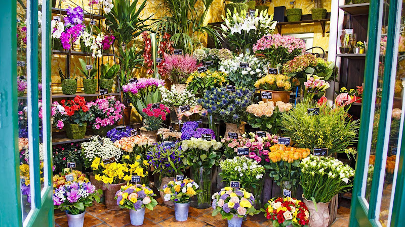 Negocio Floristería Miranda