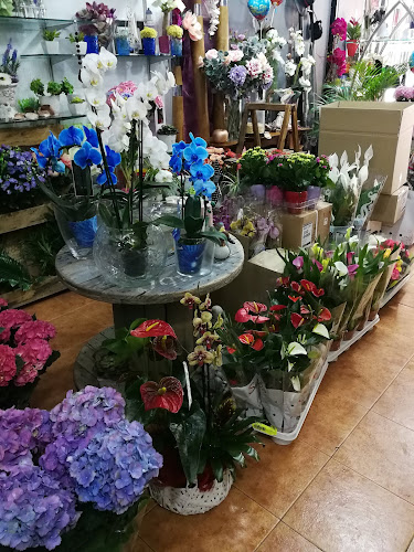 Floristería Monforte