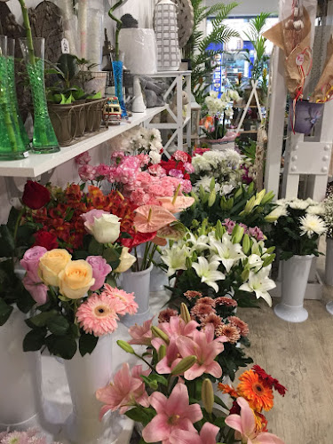 Negocio Floristería Musgo