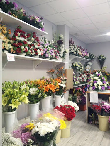 Negocio Floristería Musgo