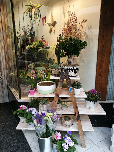 Negocio Floristería Muskari