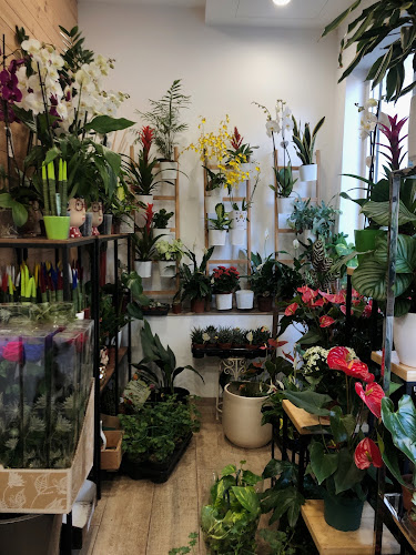 Negocio Floristería Nekane Loreak