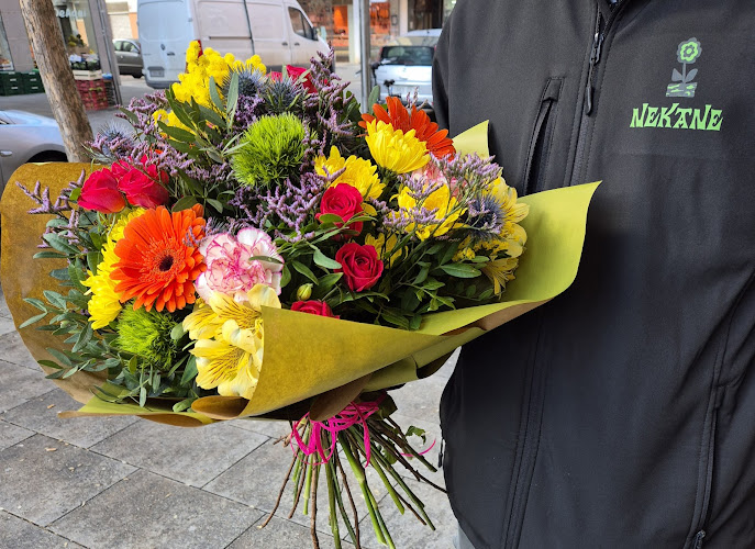 Negocio Floristería Nekane