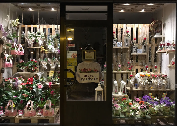 Negocio Floristería Noki Floristas