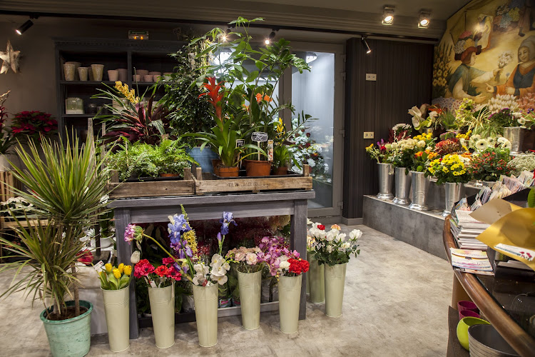 Negocio Floristería Núñez