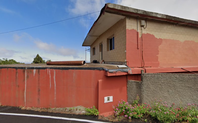 Negocio Floristería Online