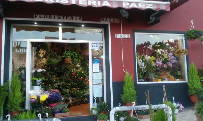 Negocio Floristería Páez