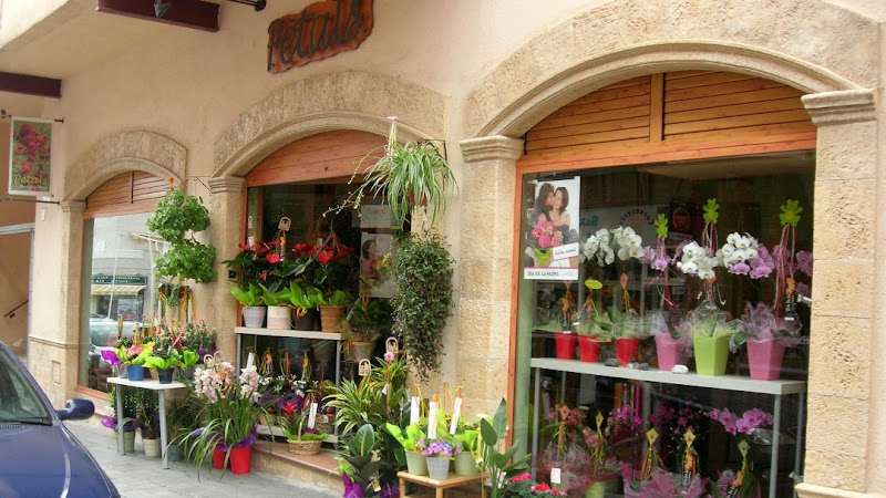 Negocio Floristeria Pètals Torredembarra