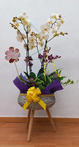 Negocio Floristería Primoe