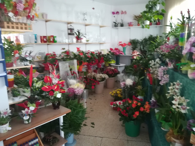 Negocio Floristeria Pura Flor - Loterías