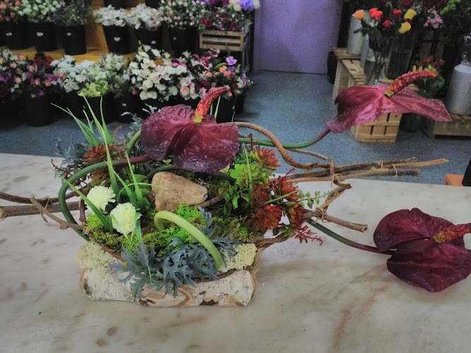 Negocio Floristeria Raices