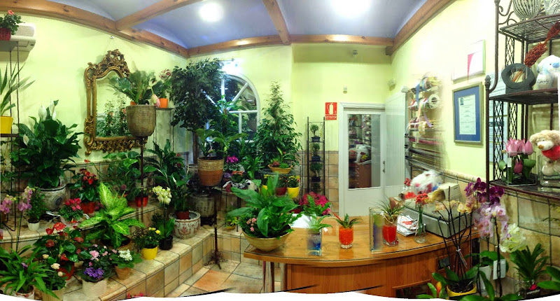 Negocio Floristería Rioja Jardín