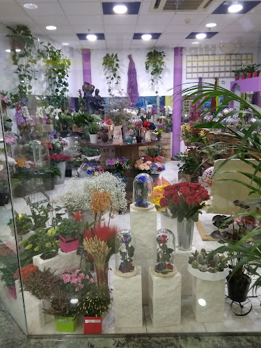 Negocio Floristería Rojas