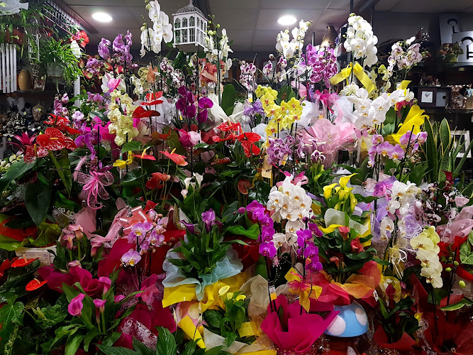 Negocio Floristería Samarcanda