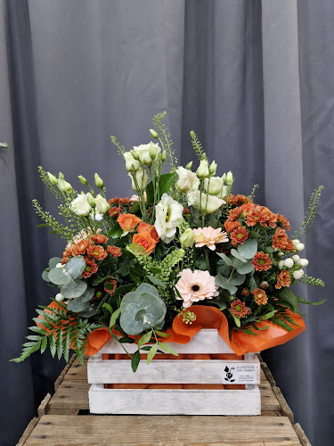 Negocio Floristería San Fermín