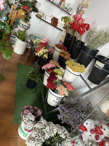 Negocio Floristería San Pedro