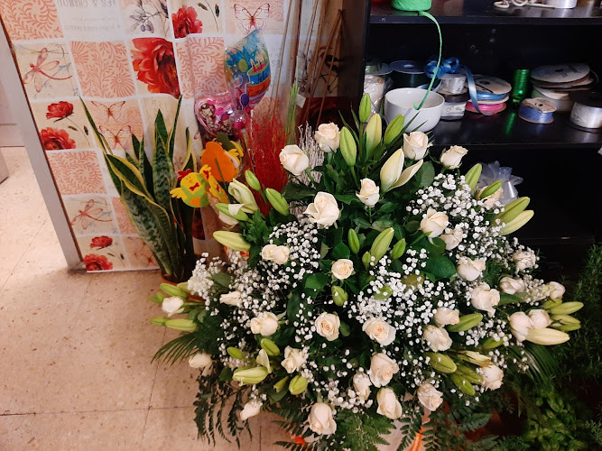 Negocio Floristería Tacoronte