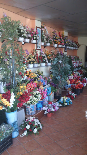 Floristería Tanatorio Becedas En Salamanca